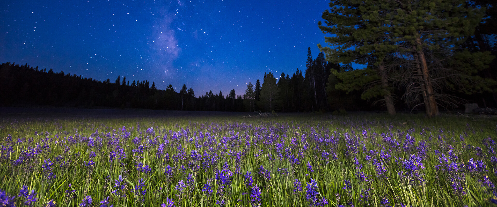 milky way above sagehen meadows